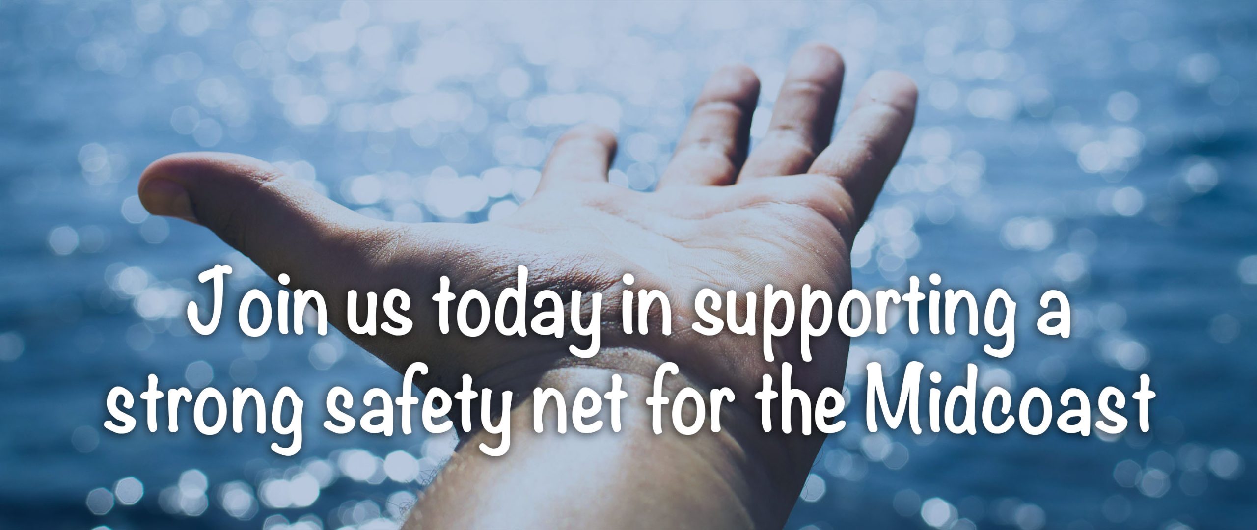 pexels-goumbik-296282 copy